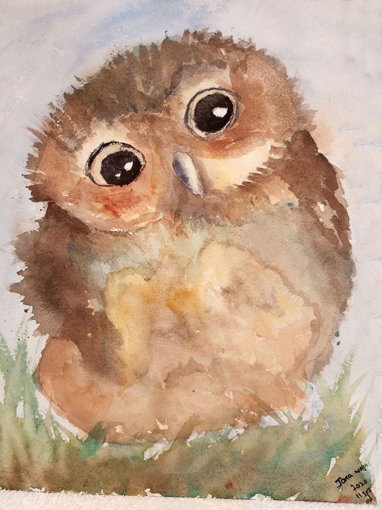 Baby Owl, Jona Wagner,11
